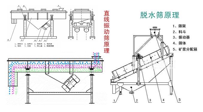 脫水篩和直線(xiàn)振動(dòng)篩有啥不同